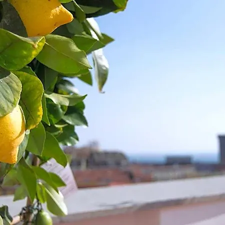 Panoramic Terrazza Srl 4*