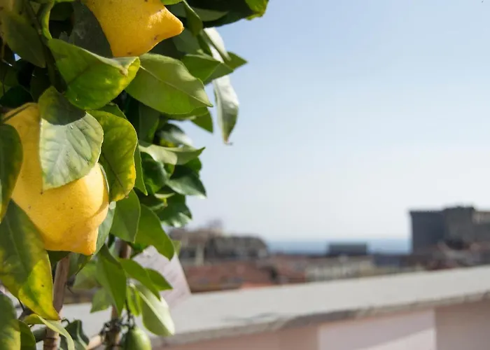 Panoramic Terrazza - Bed & Breakfast Napoli